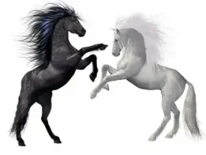 dangers of investing and beware of the unicorn