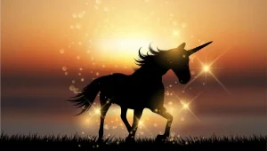 beware of the unicorn company